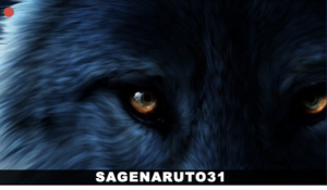 twitch sagenaruto31